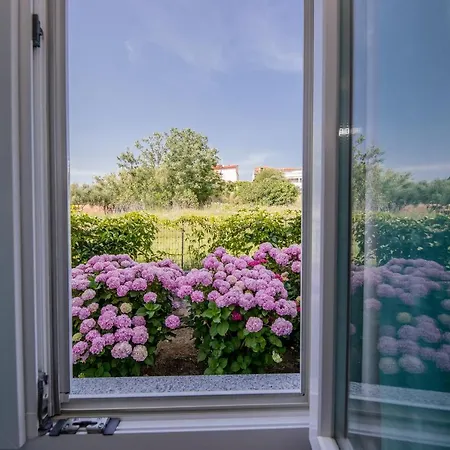 Zeljko Apartment Lopar