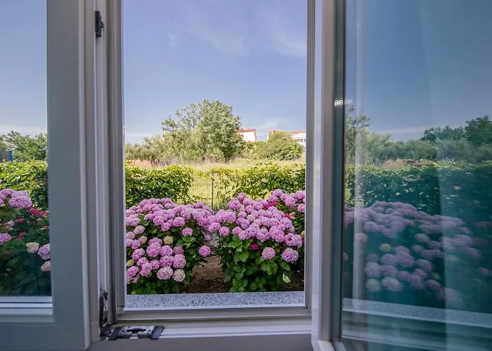 Zeljko Lägenhet Lopar