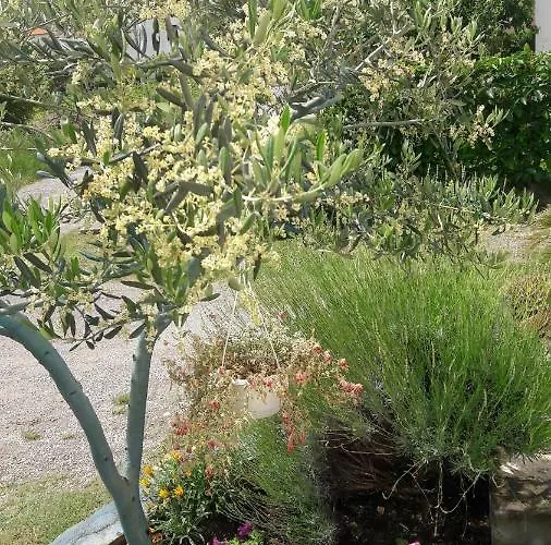 Zeljko Lägenhet Lopar