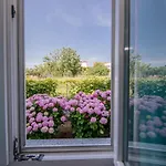 Zeljko Appartement Lopar