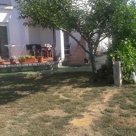 Lejlighed Zeljko Lopar