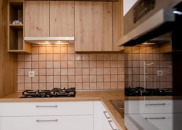 公寓 Zeljko 洛帕