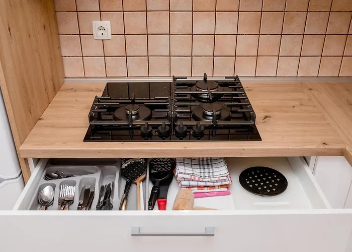 公寓 Zeljko 洛帕